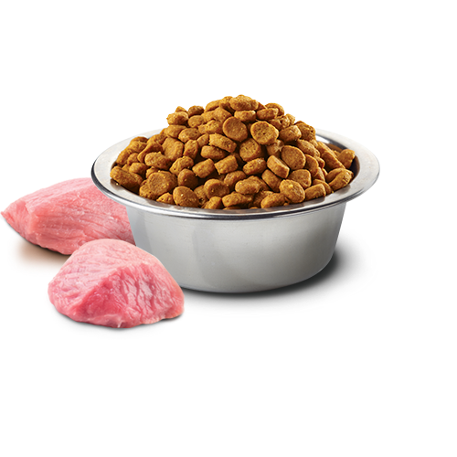 [對抗劈價大毒瘤限時優惠] N&D – 天然頂級無穀系列 成貓-野豬蘋果 Grain Free Boar with Apple 5kg