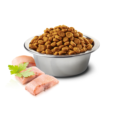 [對抗劈價大毒瘤限時優惠] N&D – 天然頂級無穀系列 成貓-鯡魚甜橙 Grain Free Herrings with Orange 10kg