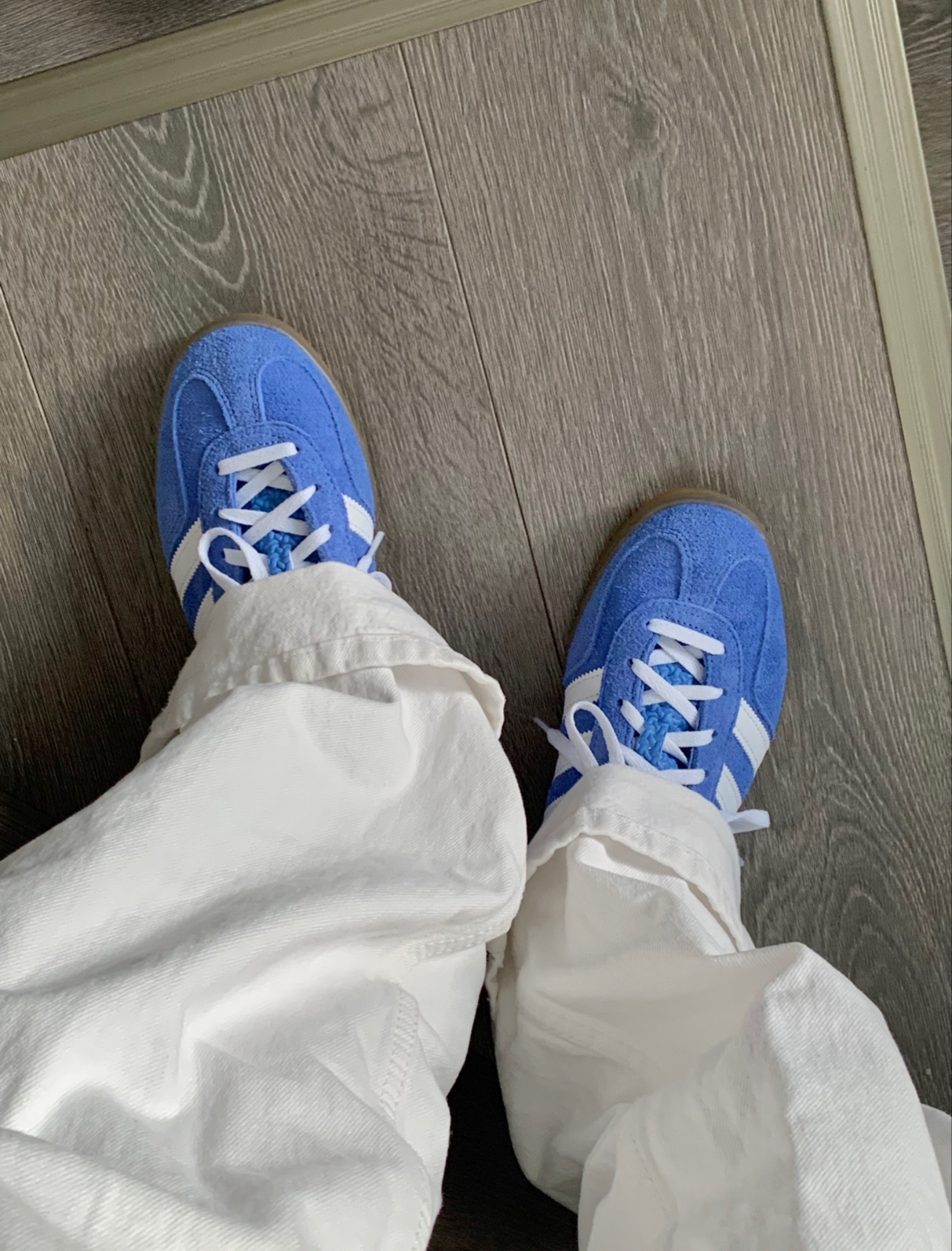 Adidas Originals Gazelle 天空藍 水藍 藍 麂皮 焦糖底 復古 HQ8717/預購