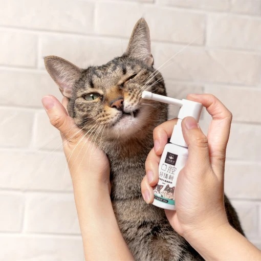 汪喵星球 – 潔牙護理酵素 (凝露噴劑型) 30ml