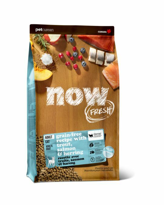 Now fresh 成貓魚肉配方(鱒魚, 三文魚, 希靈魚)