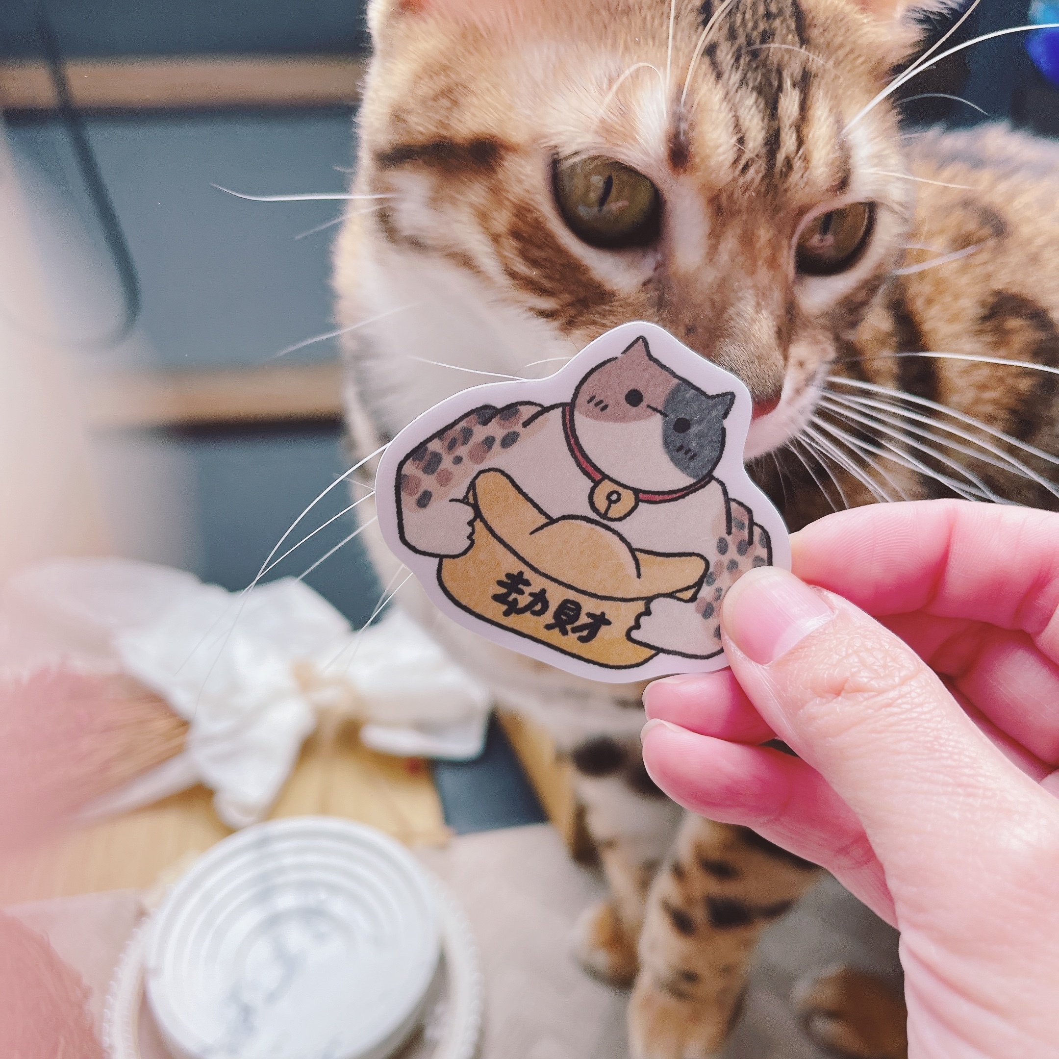 嗨賴 x LUMOS｜喵的劫財貓 招財防水貼紙