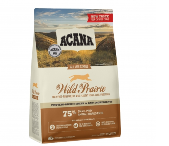 愛肯拿 地域素材- 牧場貓