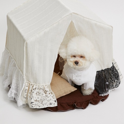 Louisdog 伊蓮娜躲貓貓小屋