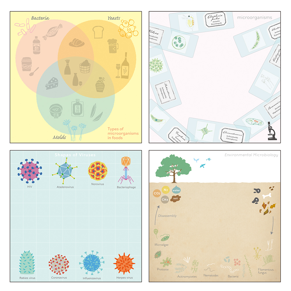 微生物學 方形便條本 ｜日本STUDY HOLIC