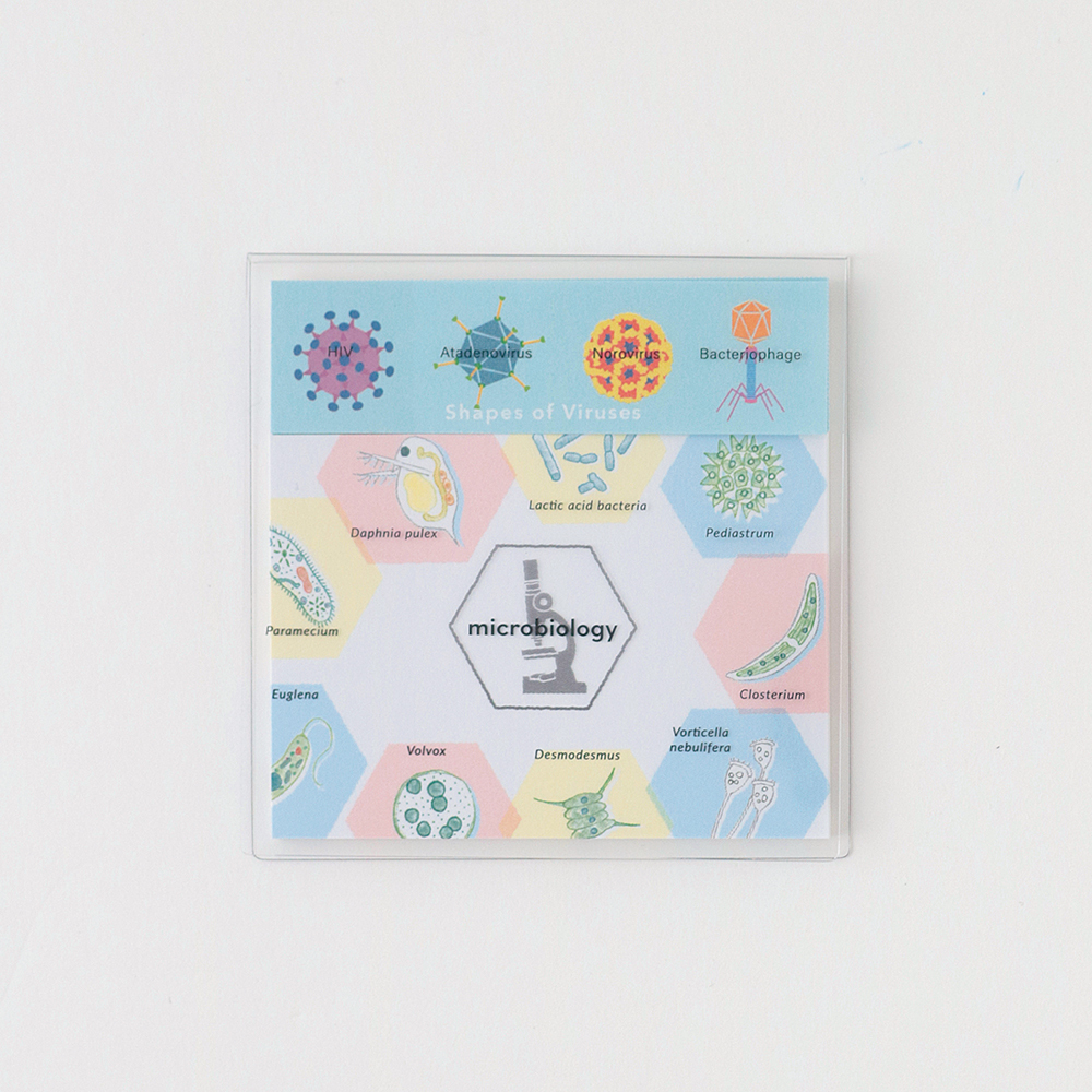 微生物學 40枚便利貼 MEMO ｜日本STUDY HOLIC
