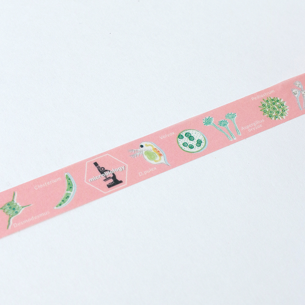 微生物學 圖鑑系列 和紙膠帶 ｜日本STUDY HOLIC