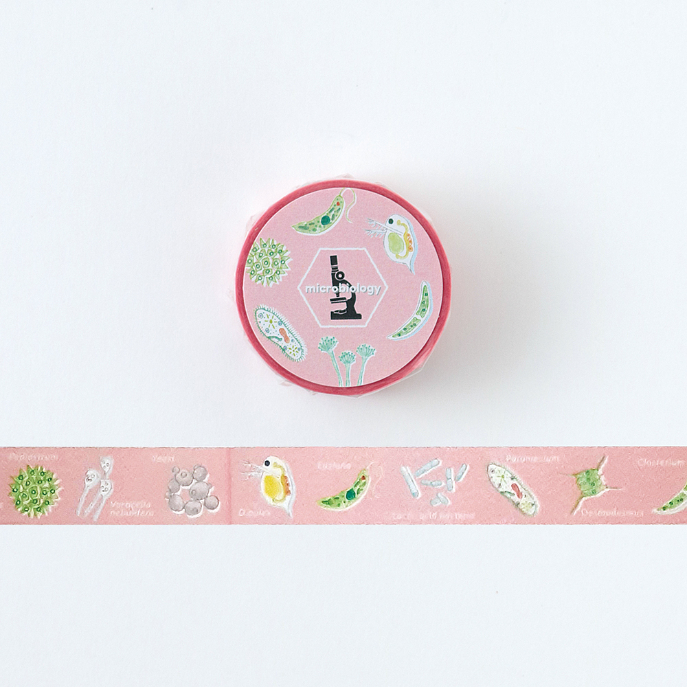 微生物學 圖鑑系列 和紙膠帶 ｜日本STUDY HOLIC