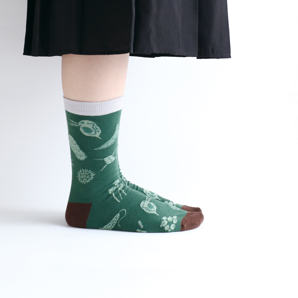 微生物學 襪子 ｜日本STUDY HOLIC