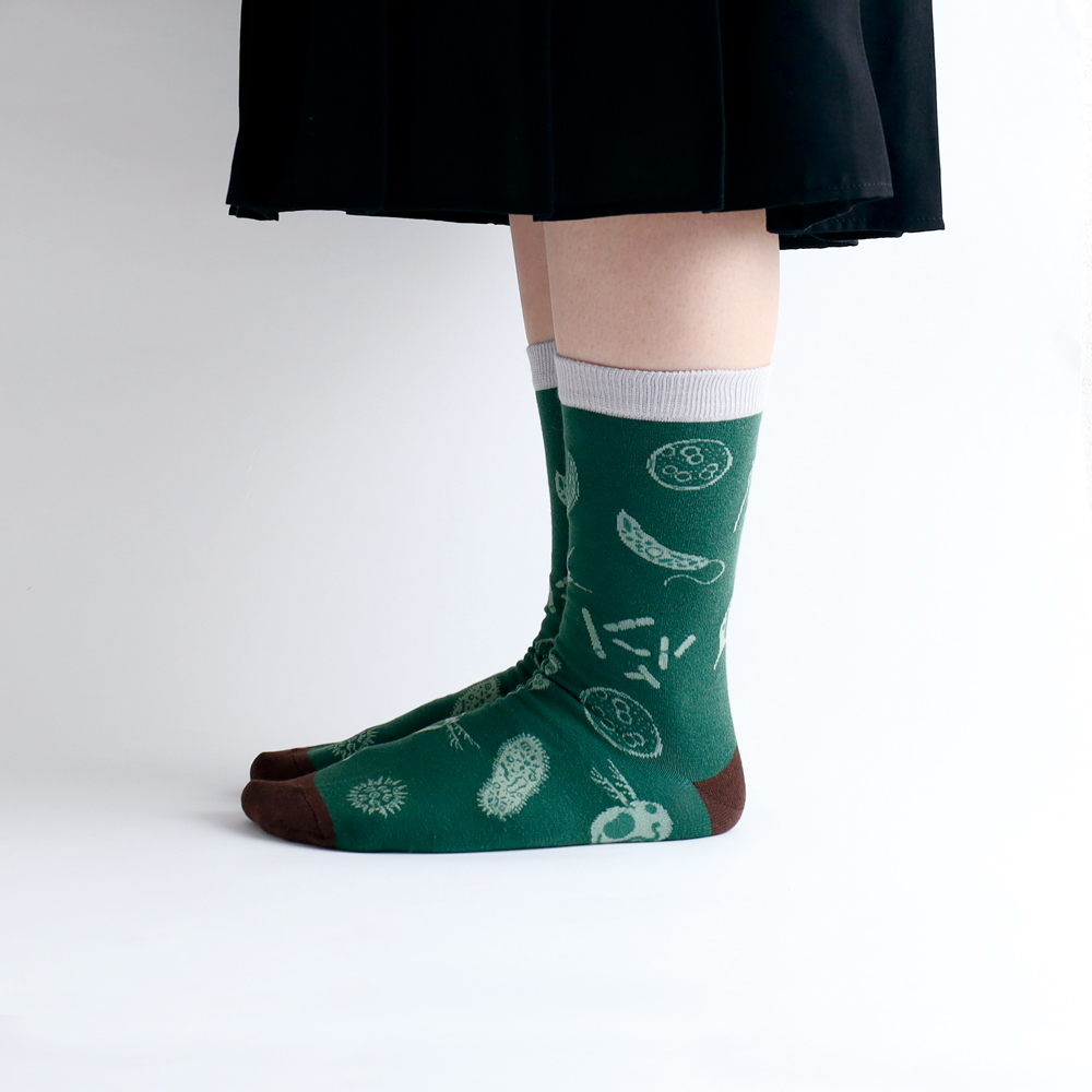 微生物學 襪子 ｜日本STUDY HOLIC