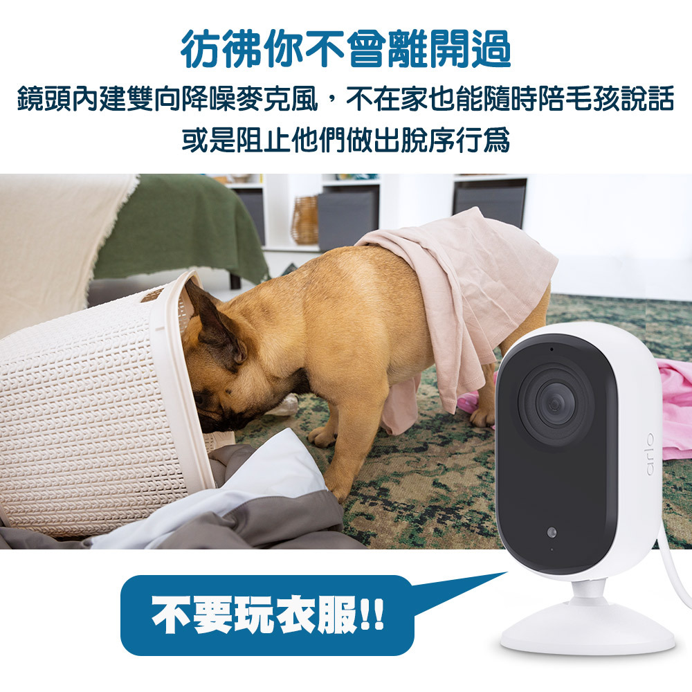 Arlo 室內攝影機 內建降噪麥克風，能隨時陪毛孩說話，彷彿你不曾離開過