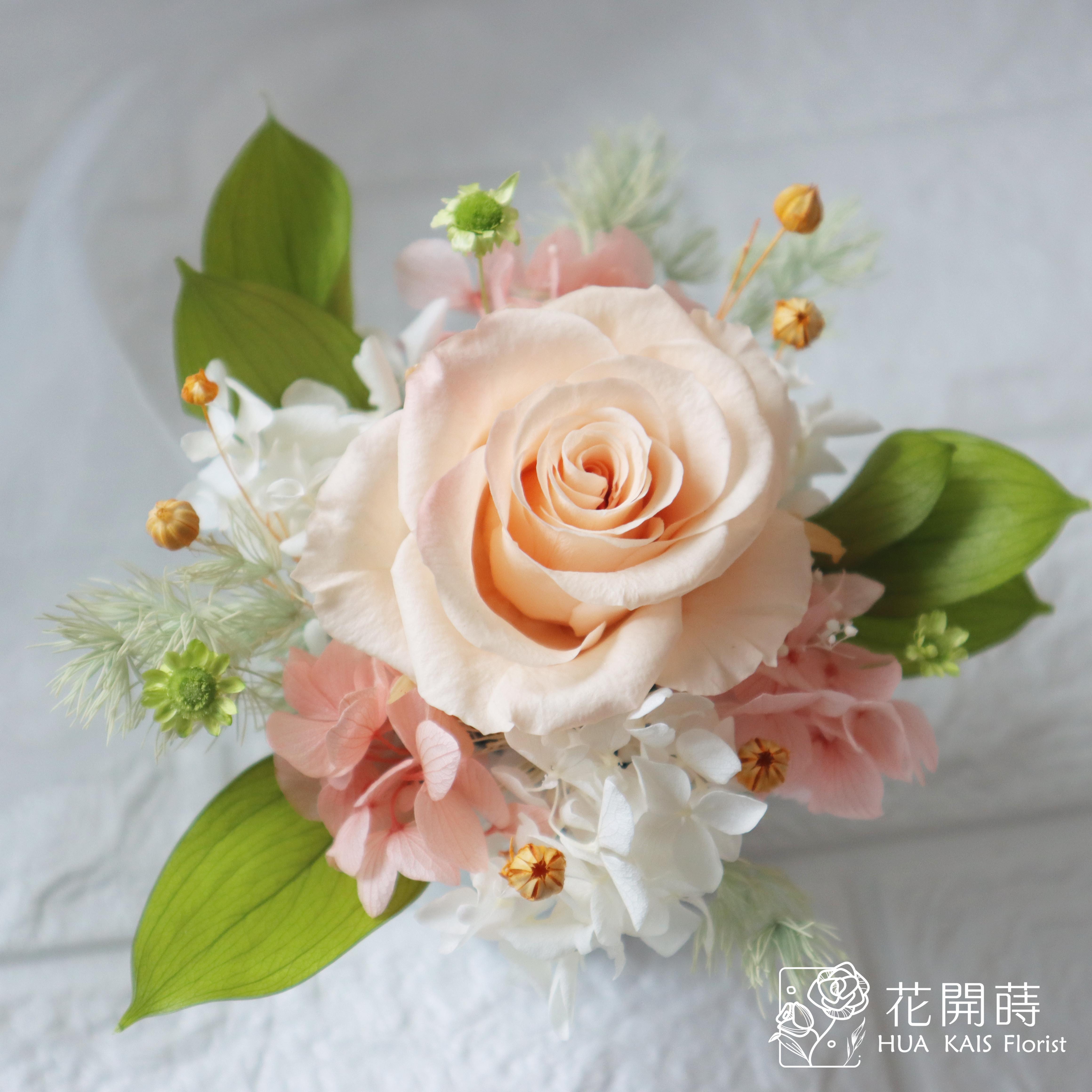 迷你小盆栽|少女橘|永生玫瑰花|辦公室小桌花|永生花禮物