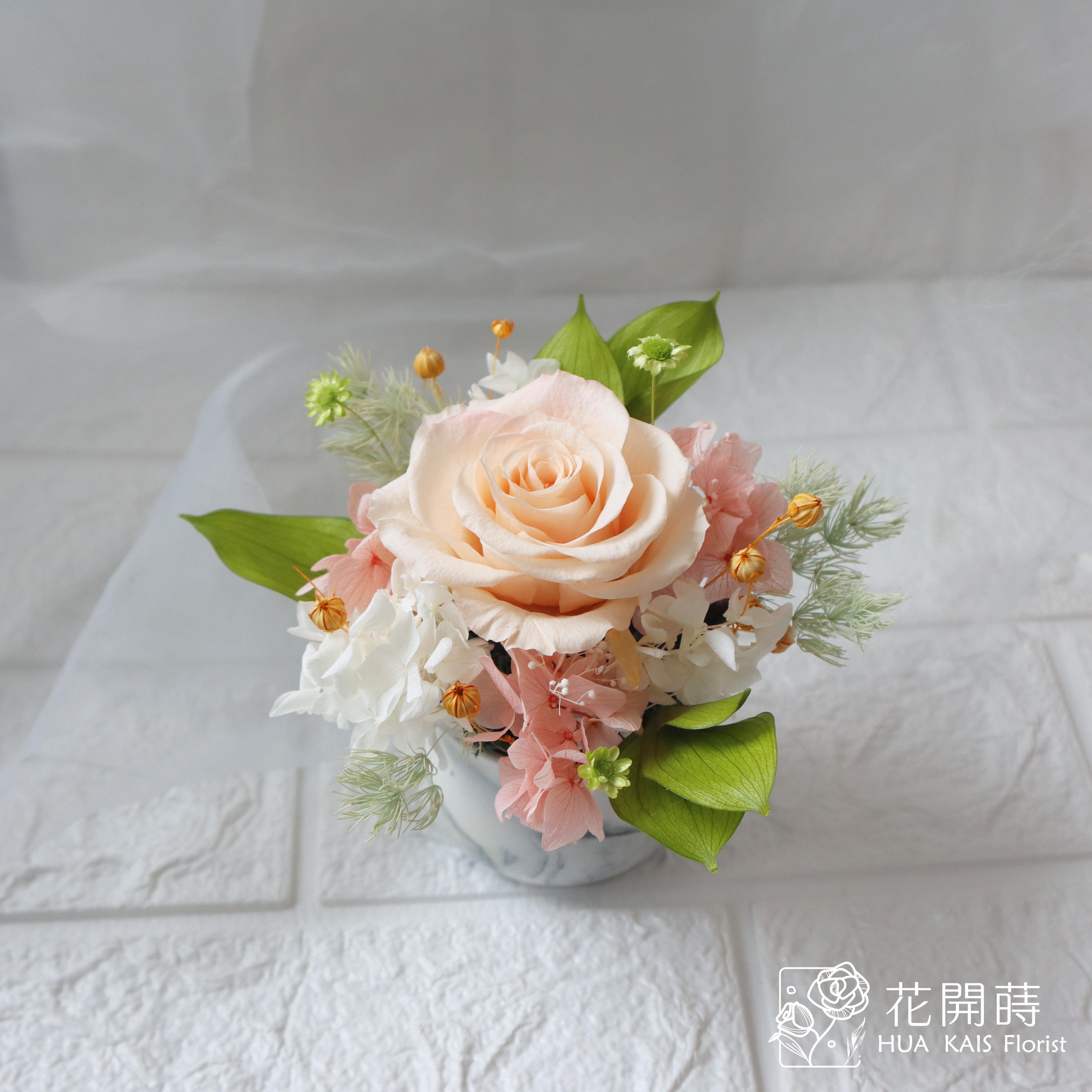 迷你小盆栽|少女橘|永生玫瑰花|辦公室小桌花|永生花禮物