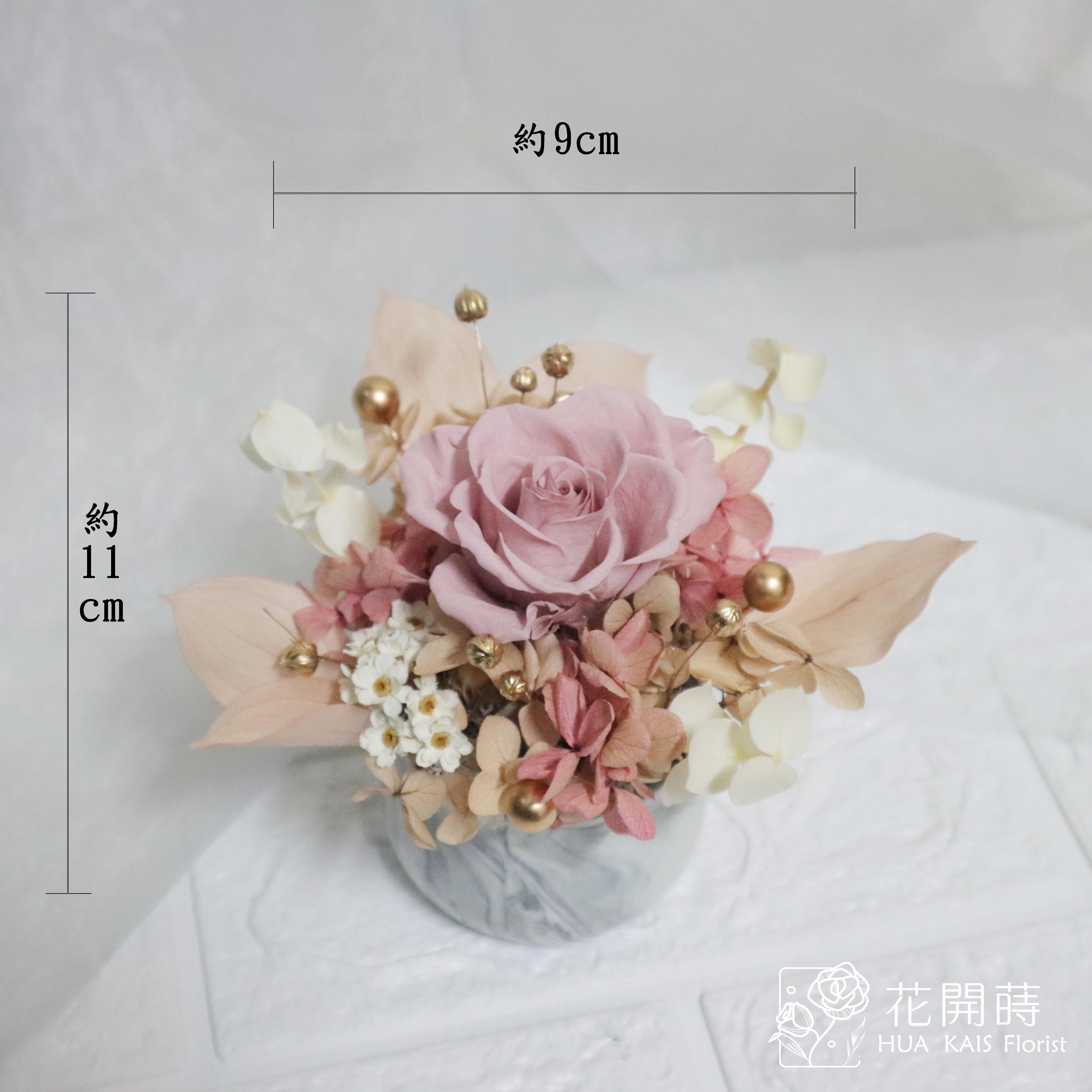迷你小盆栽|伯爵金球|永生玫瑰花|辦公室小桌花|永生花禮物
