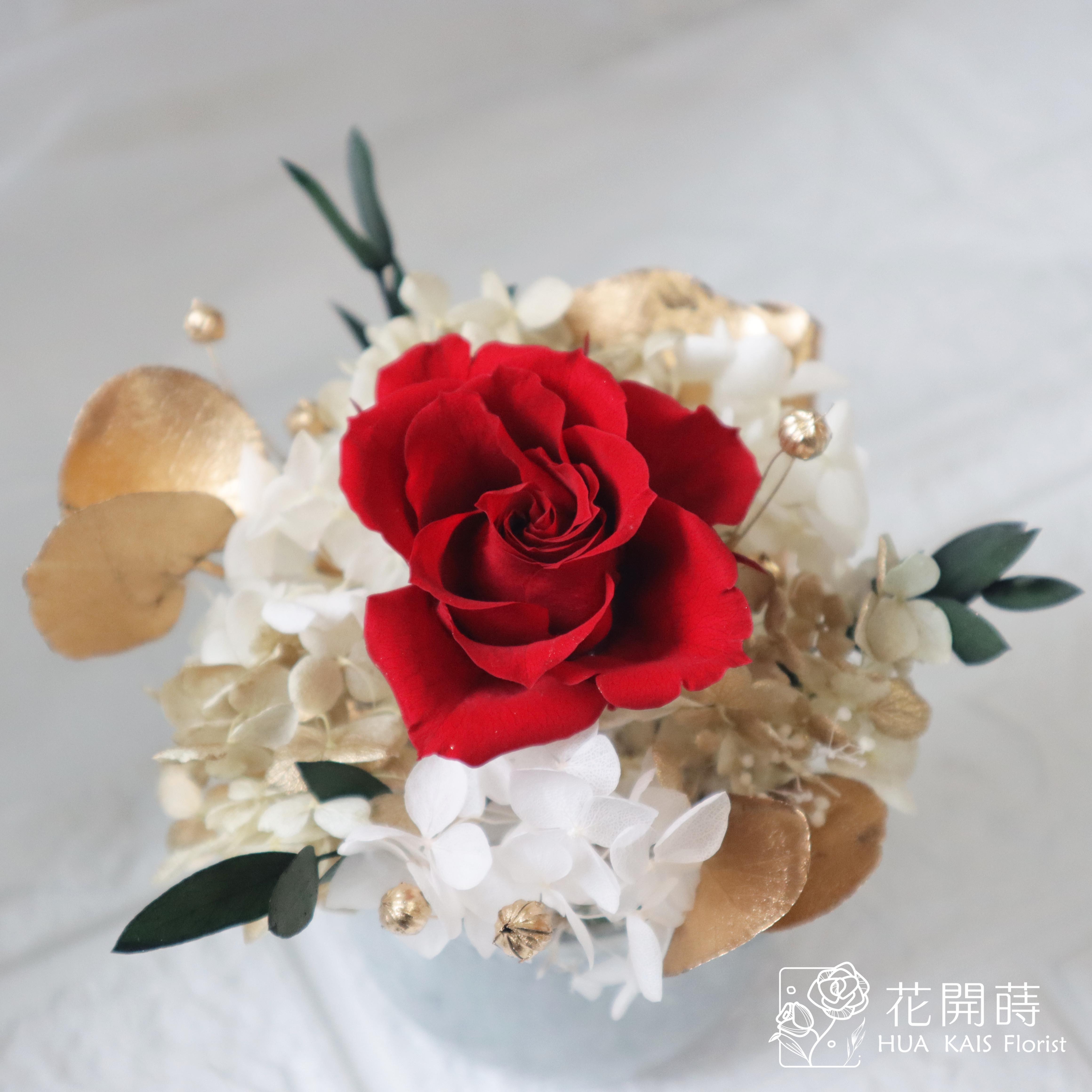 迷你小盆栽|經典紅|永生玫瑰花|辦公室小桌花|永生花禮物