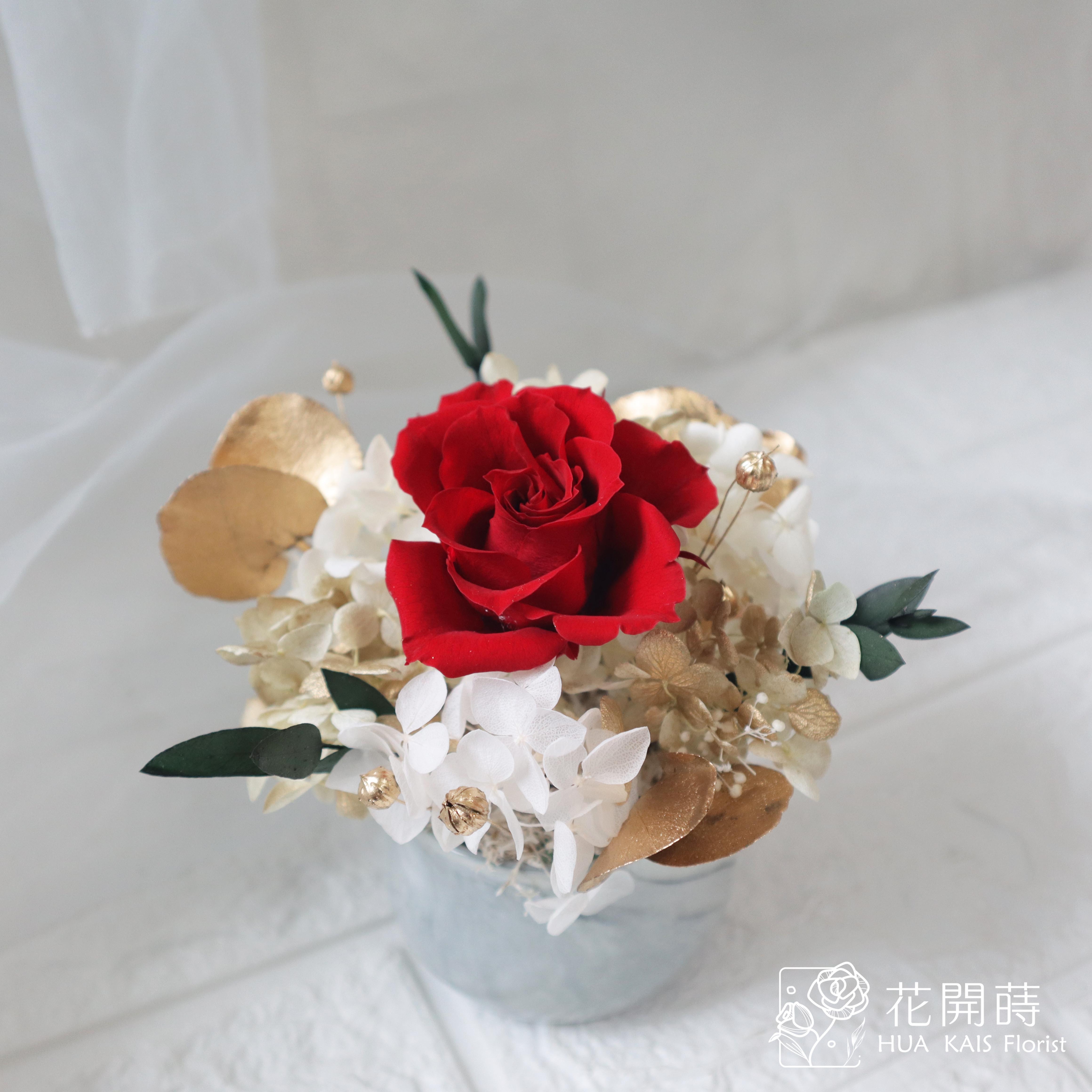 迷你小盆栽|經典紅|永生玫瑰花|辦公室小桌花|永生花禮物