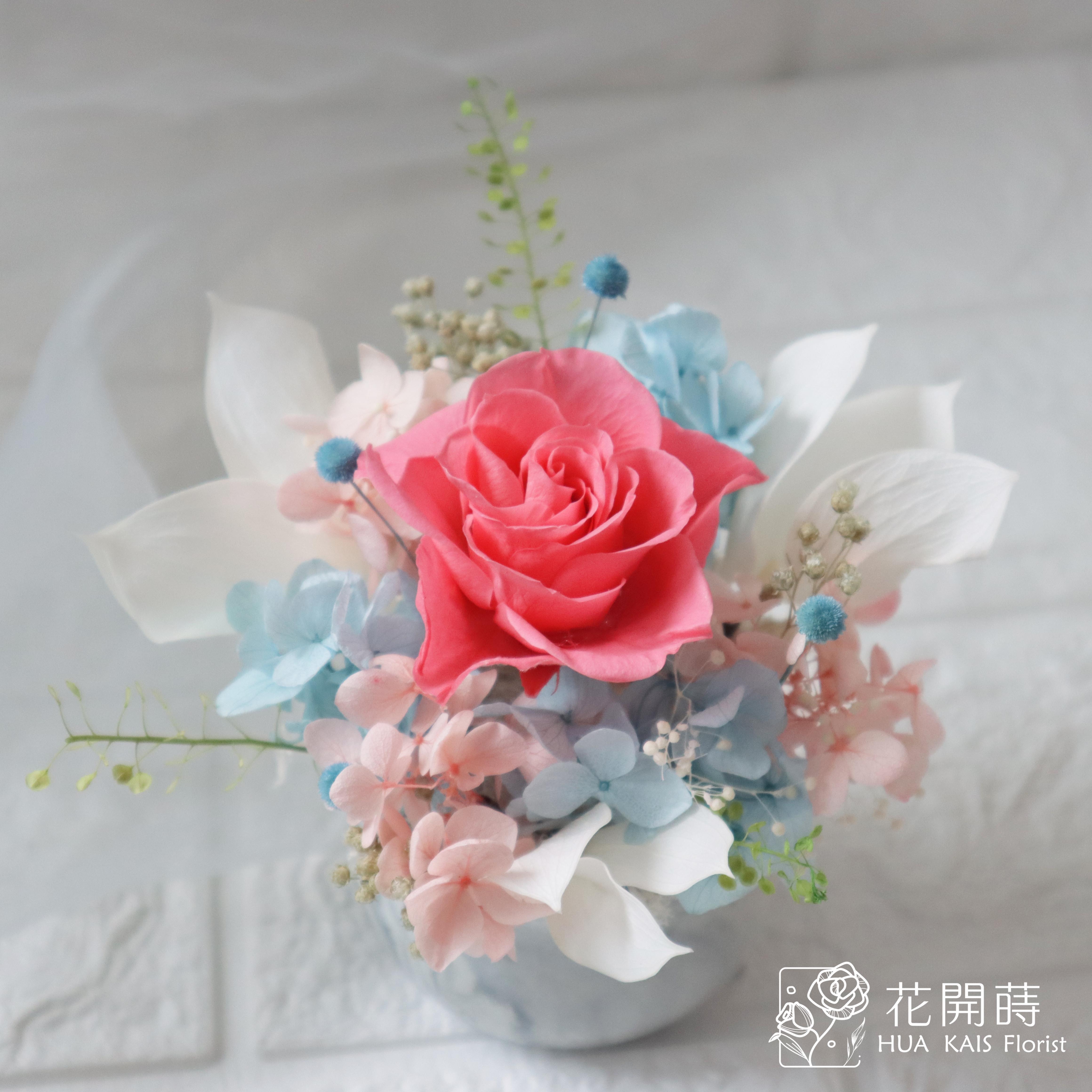 迷你小盆栽|藍粉精靈|永生玫瑰花|辦公室小桌花|永生花禮物
