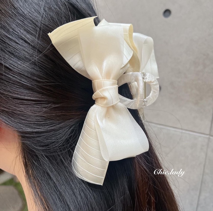 claw clip | 溫柔千金