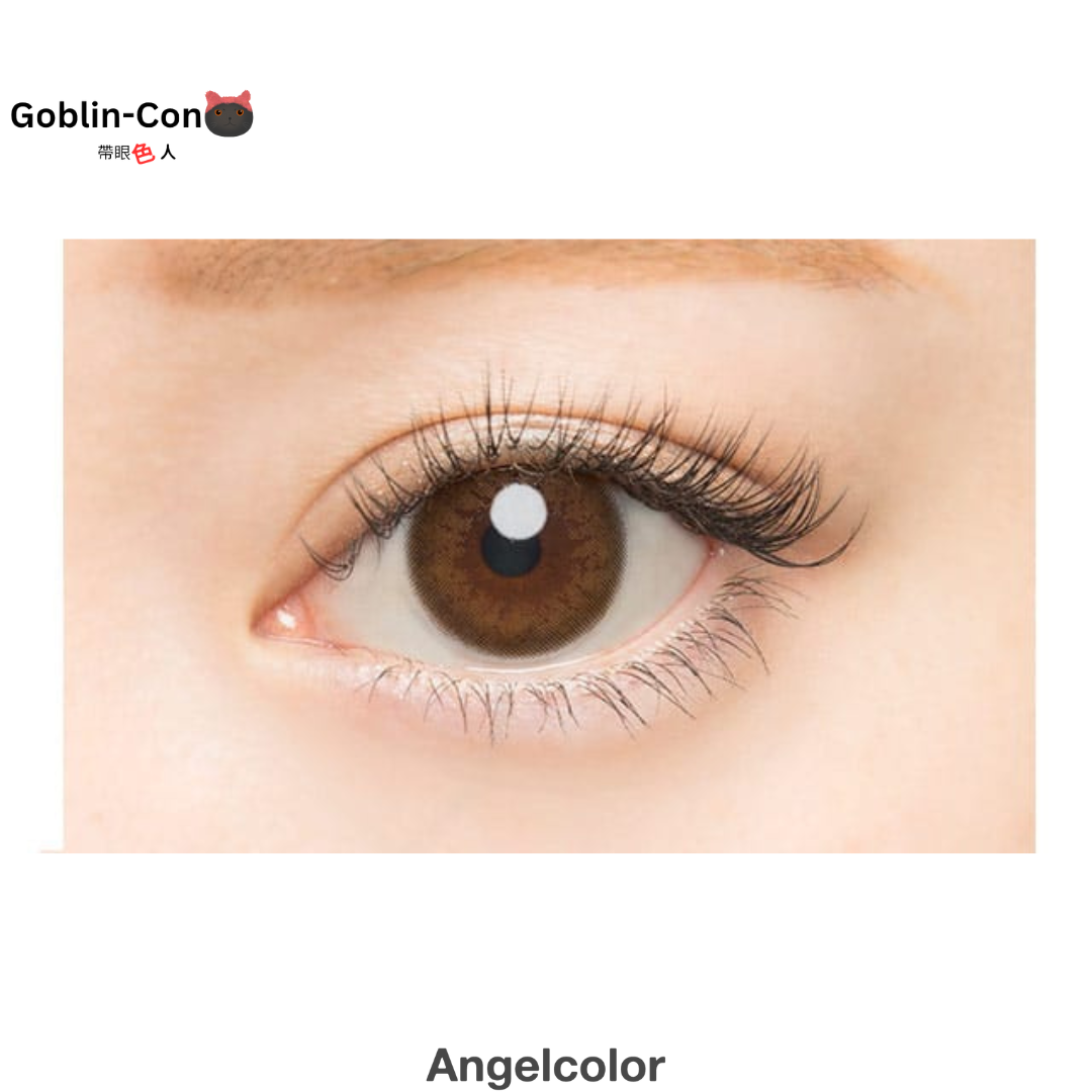 [日拋] AngelColor Bambi Series 1 Day Natural Brown 彩妝隱形眼鏡｜每盒10片
