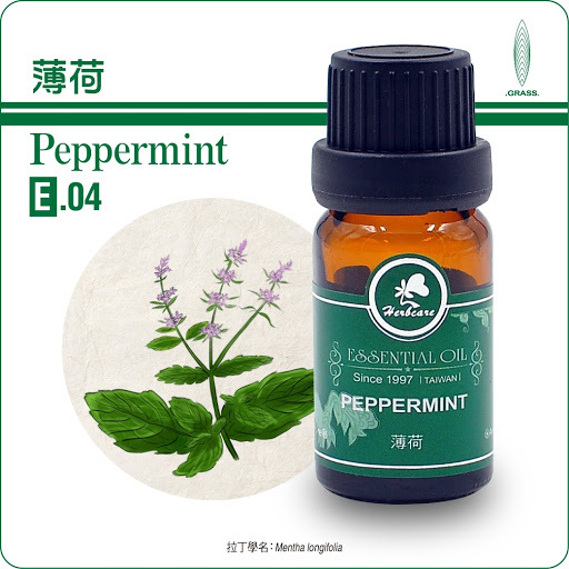 西班牙有機胡椒薄荷(歐薄荷)純精油