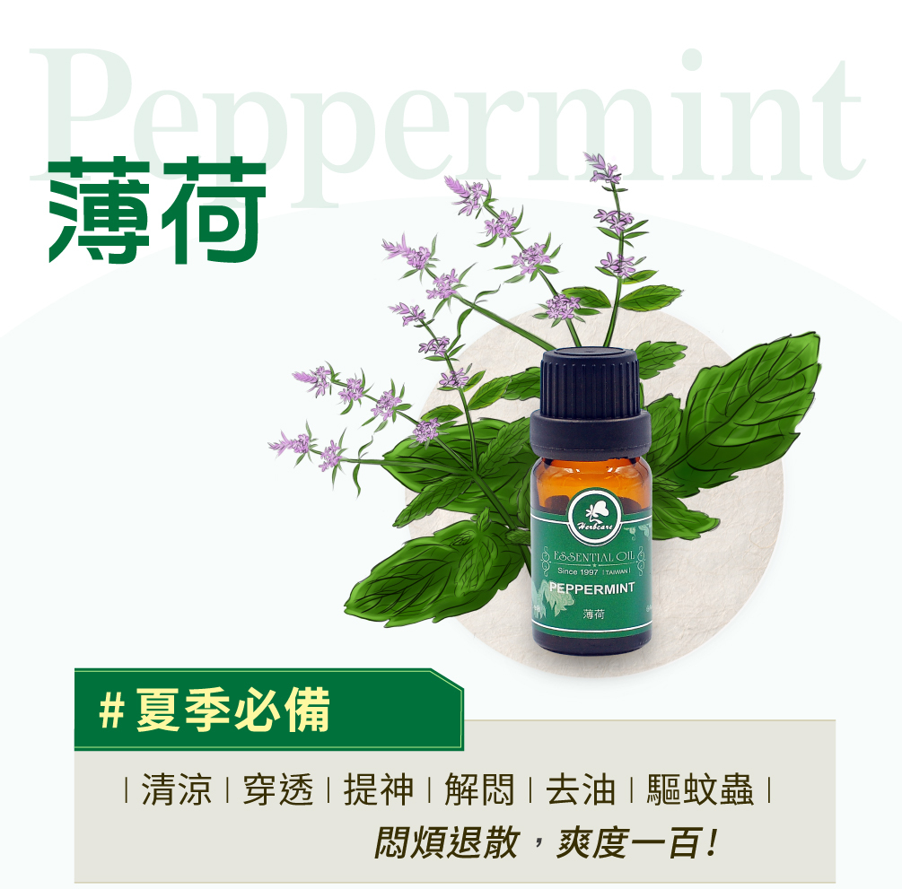 西班牙有機胡椒薄荷(歐薄荷)純精油