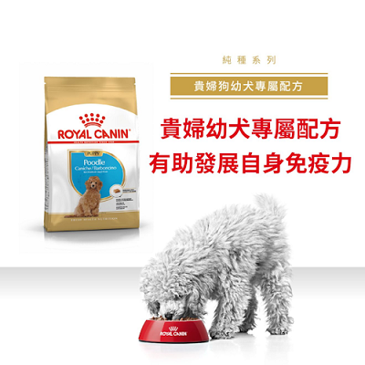 Royal Canin  貴婦幼犬專用配方3kg PDJ