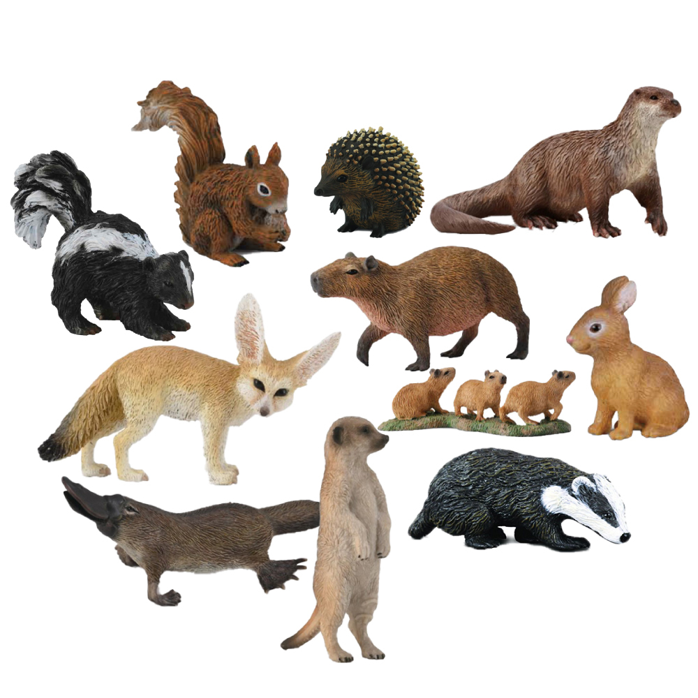 original.jpg?1708065024