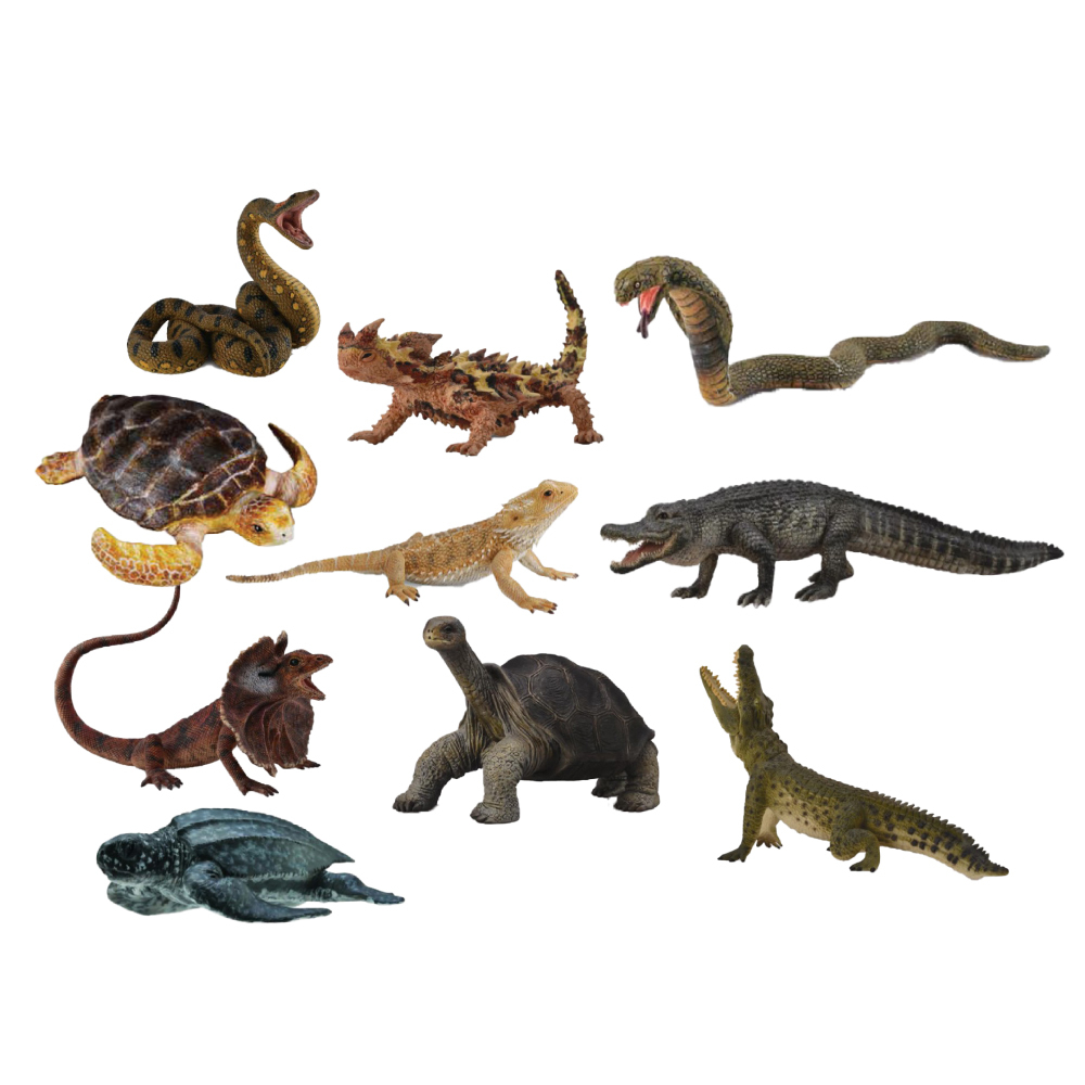 楚天鹰四世's Video on X, image size:1000x1000