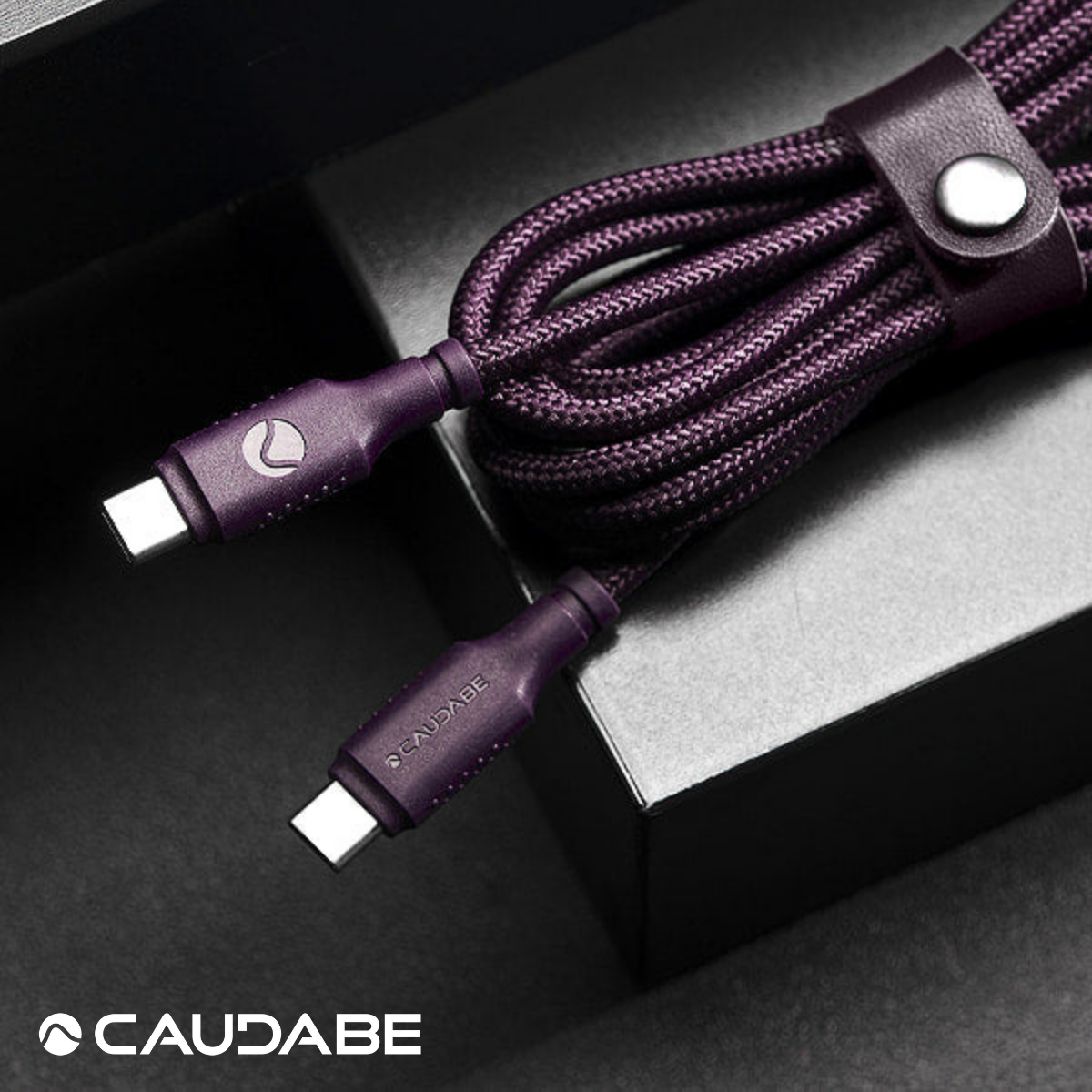 Caudabe ChargeFlex 超強悍充電線 Kevlar®