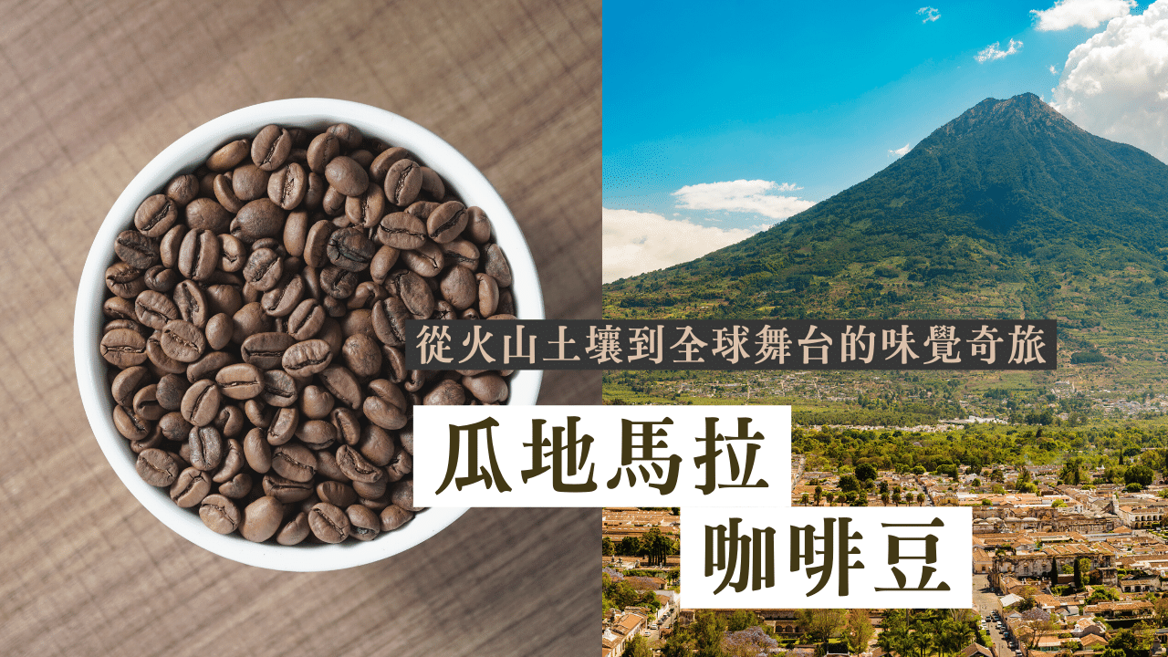 瓜地馬拉咖啡豆的介紹，帶你了解更多關於瓜地馬拉咖啡豆的故事
