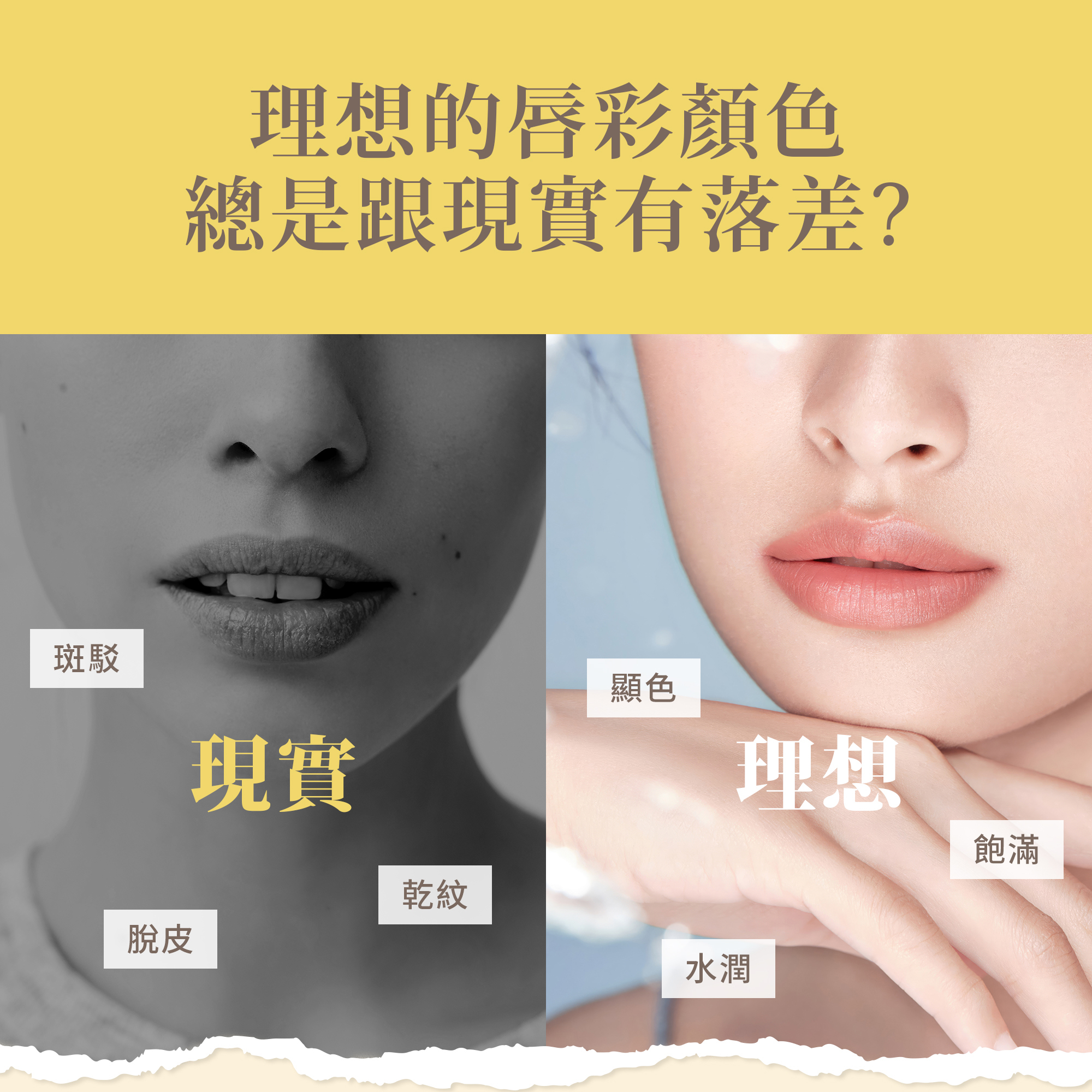 蜂蠟洋甘菊護唇膏