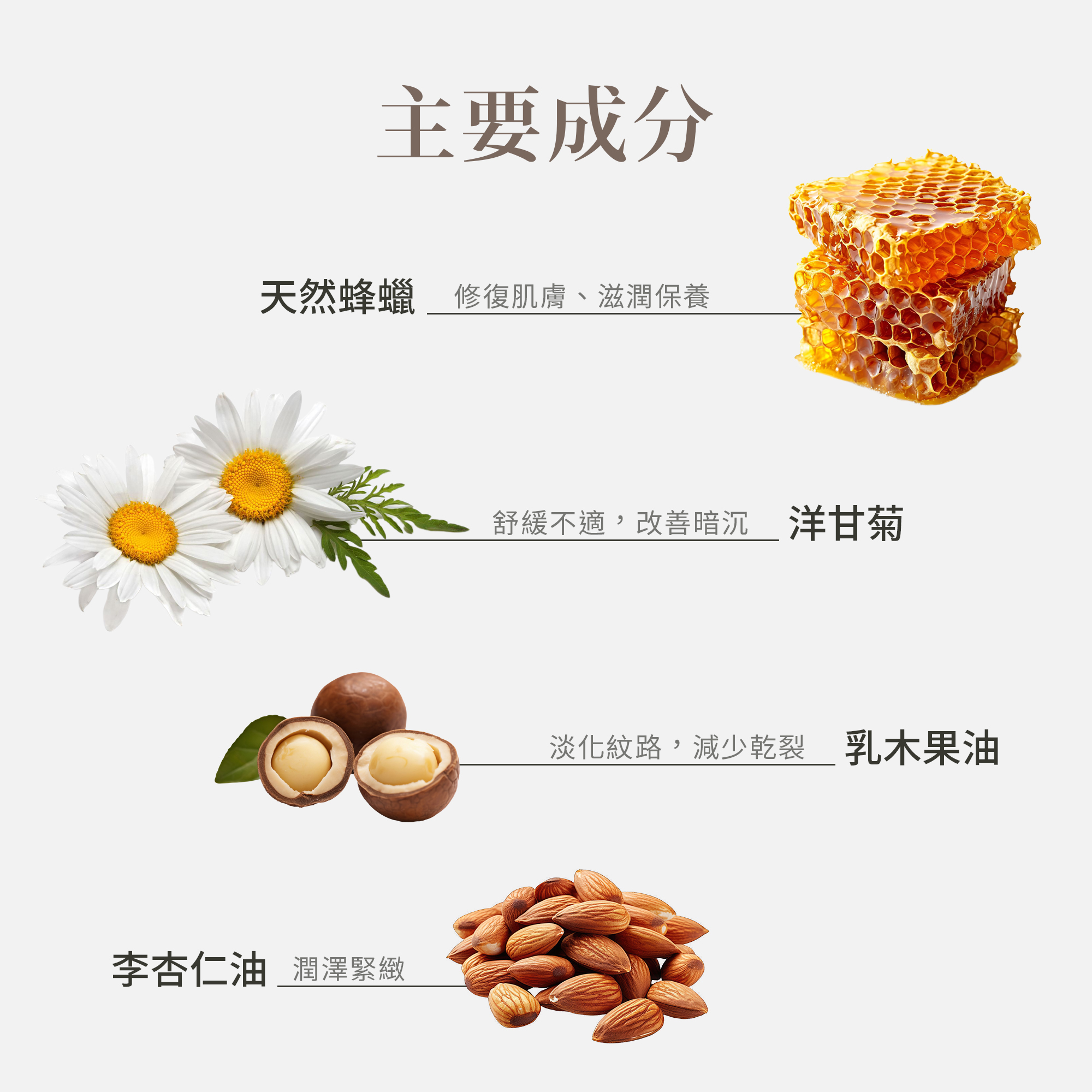 蜂蠟洋甘菊護唇膏