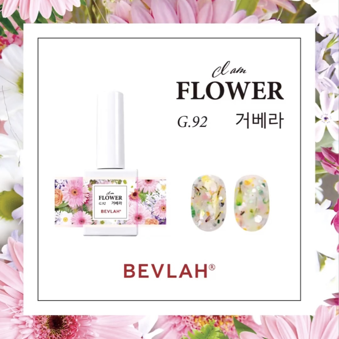 BEVLAH G.92 GERBERA
