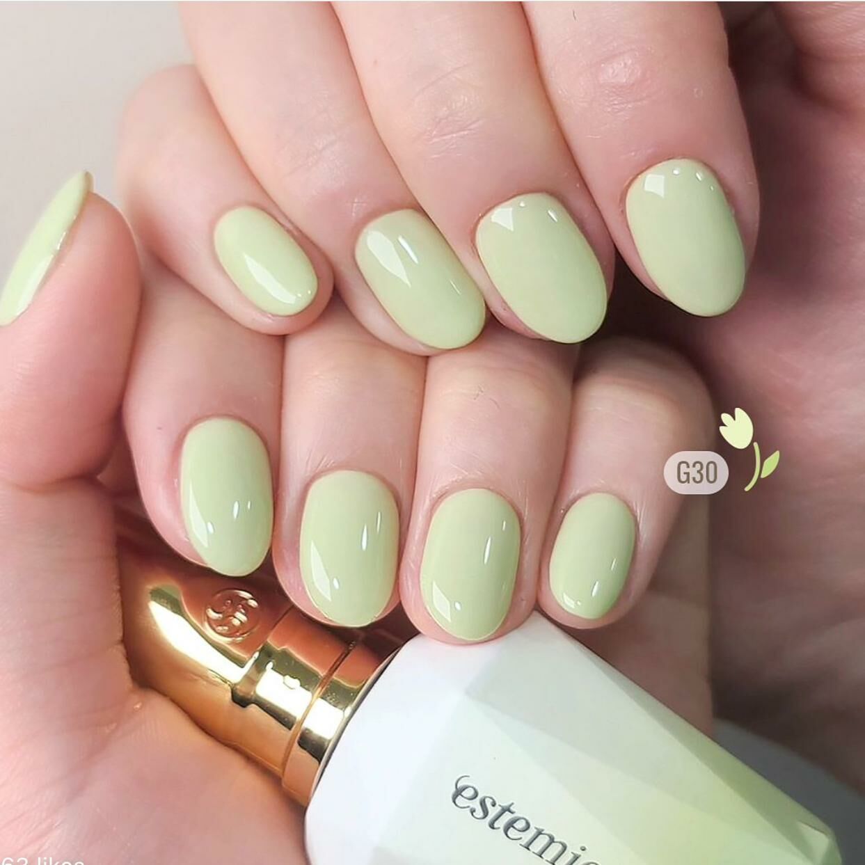 Estemio G30🌷~La Tulipe~