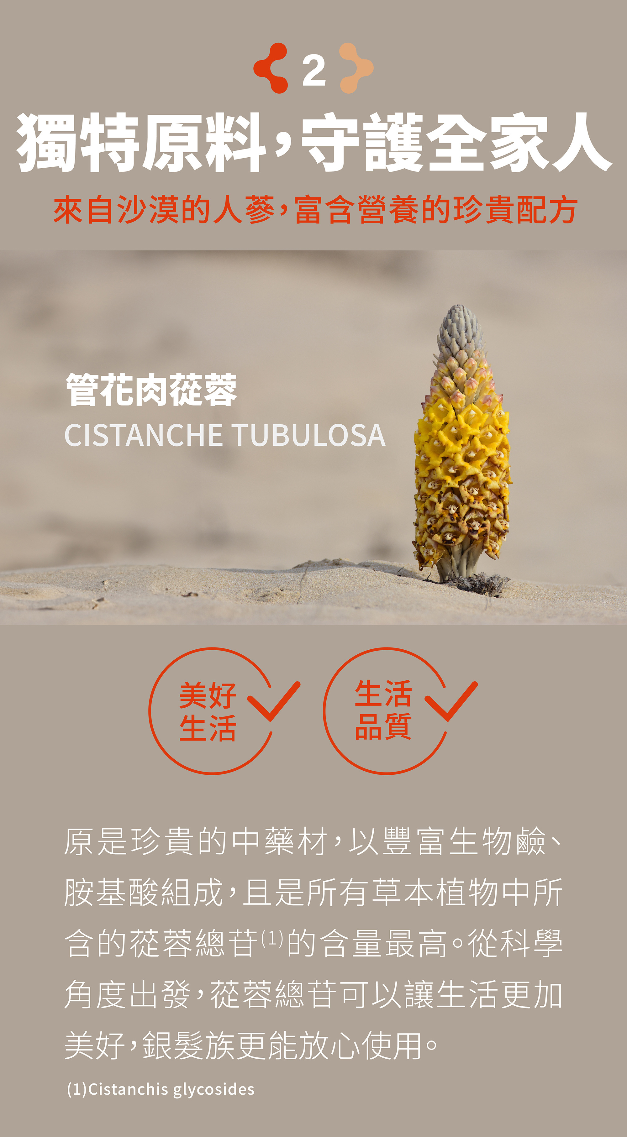 美好生活、生活品質:管花肉蓯蓉，富含營養的珍貴配方