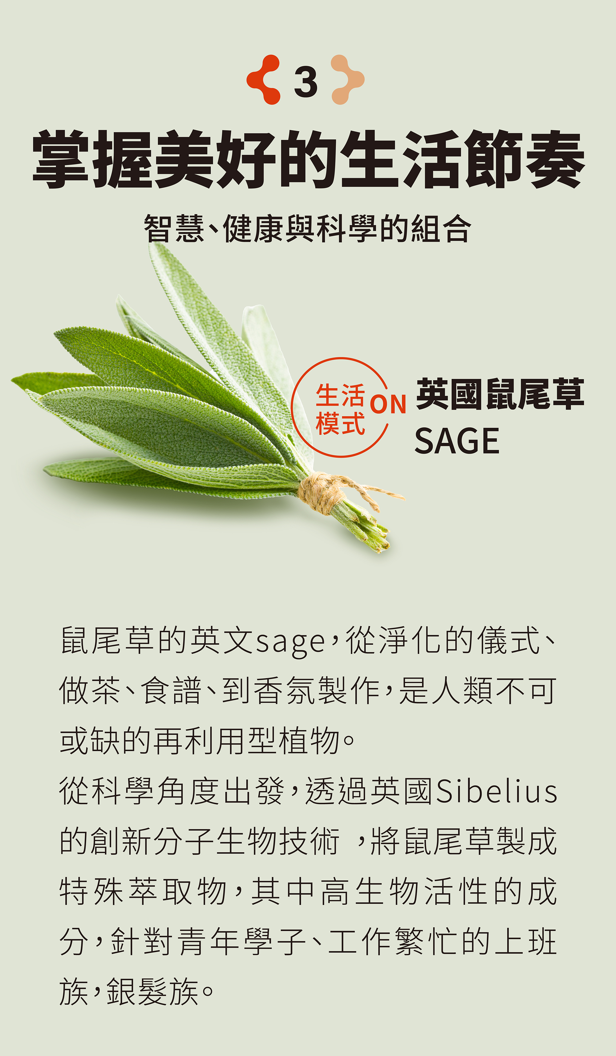 掌握美好的生活節奏，智慧、健康與科學的結合：英國鼠尾草SAGE