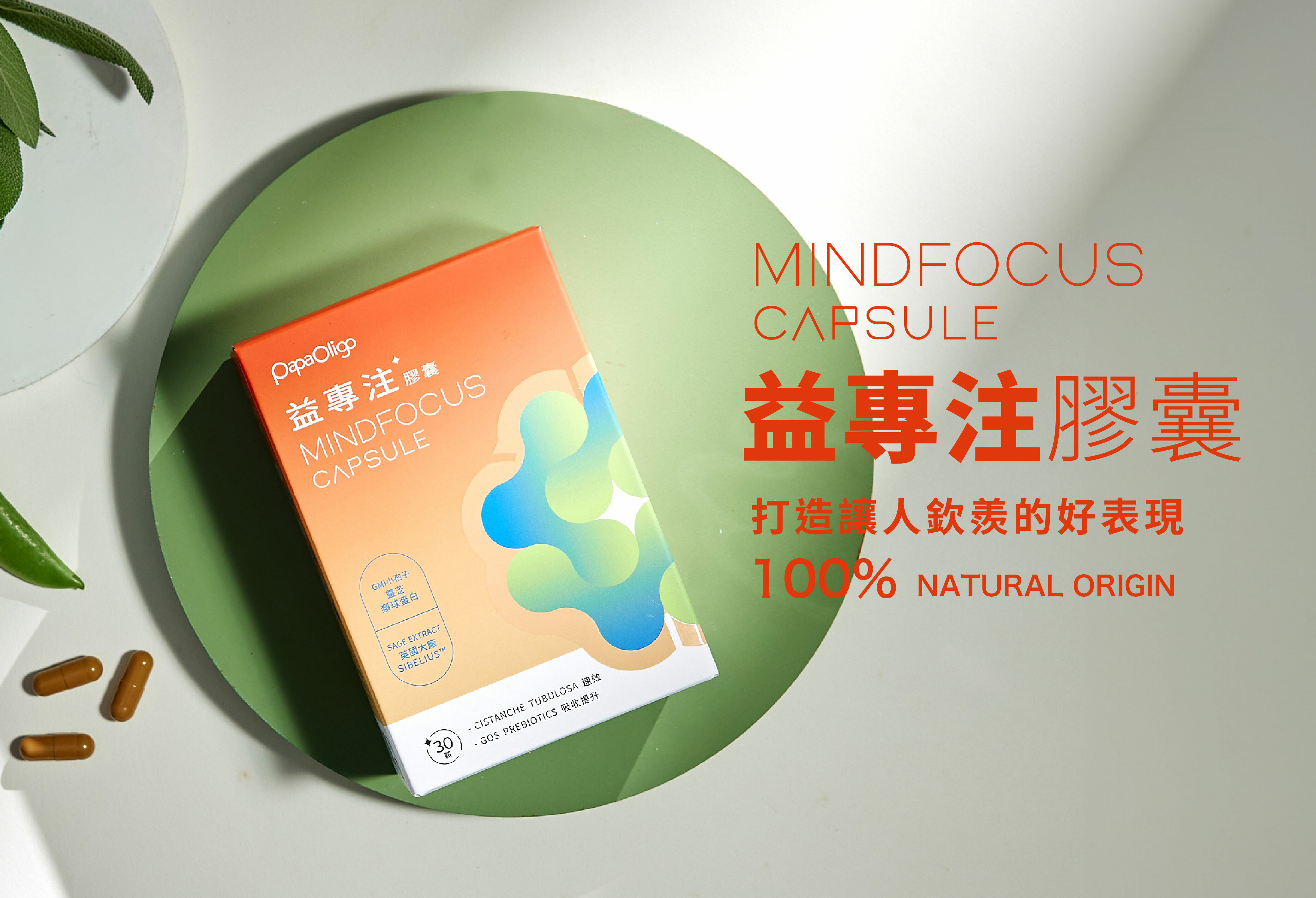 益專注膠囊凝精聚神的集中模式