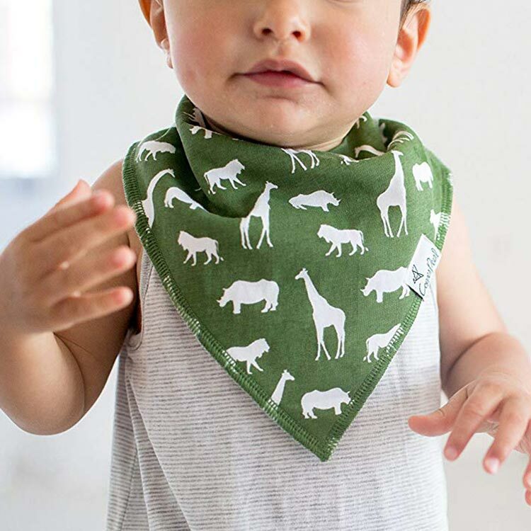 美國Copper Pearl時尚吸水圍兜四件組-非洲探險