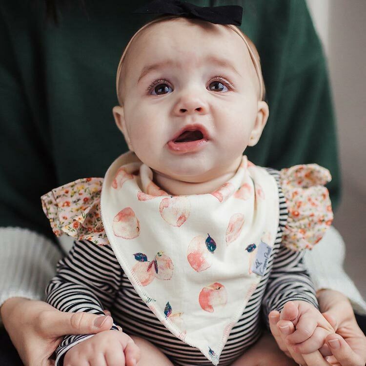 美國Copper Pearl時尚吸水圍兜四件組-絢彩花季