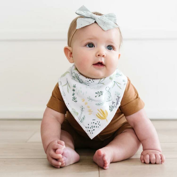 美國Copper Pearl時尚吸水圍兜四件組-抱抱無尾熊