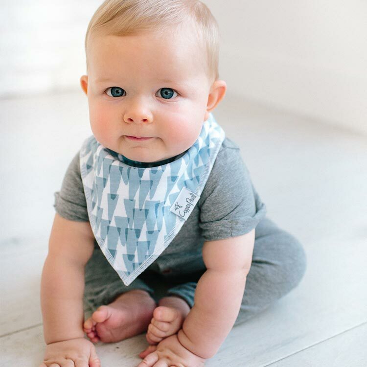 美國Copper Pearl時尚吸水圍兜四件組-冰雪極地