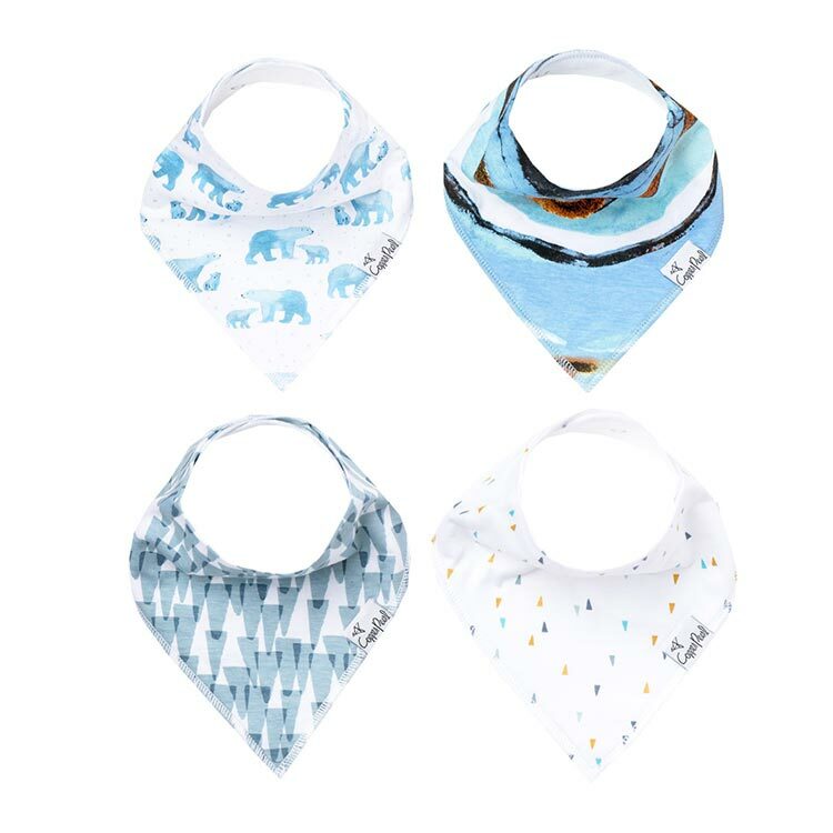 美國Copper Pearl時尚吸水圍兜四件組-冰雪極地