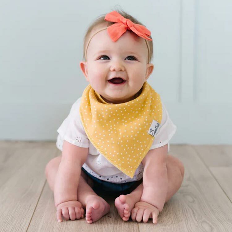 美國Copper Pearl時尚吸水圍兜四件組-虹橋陽光