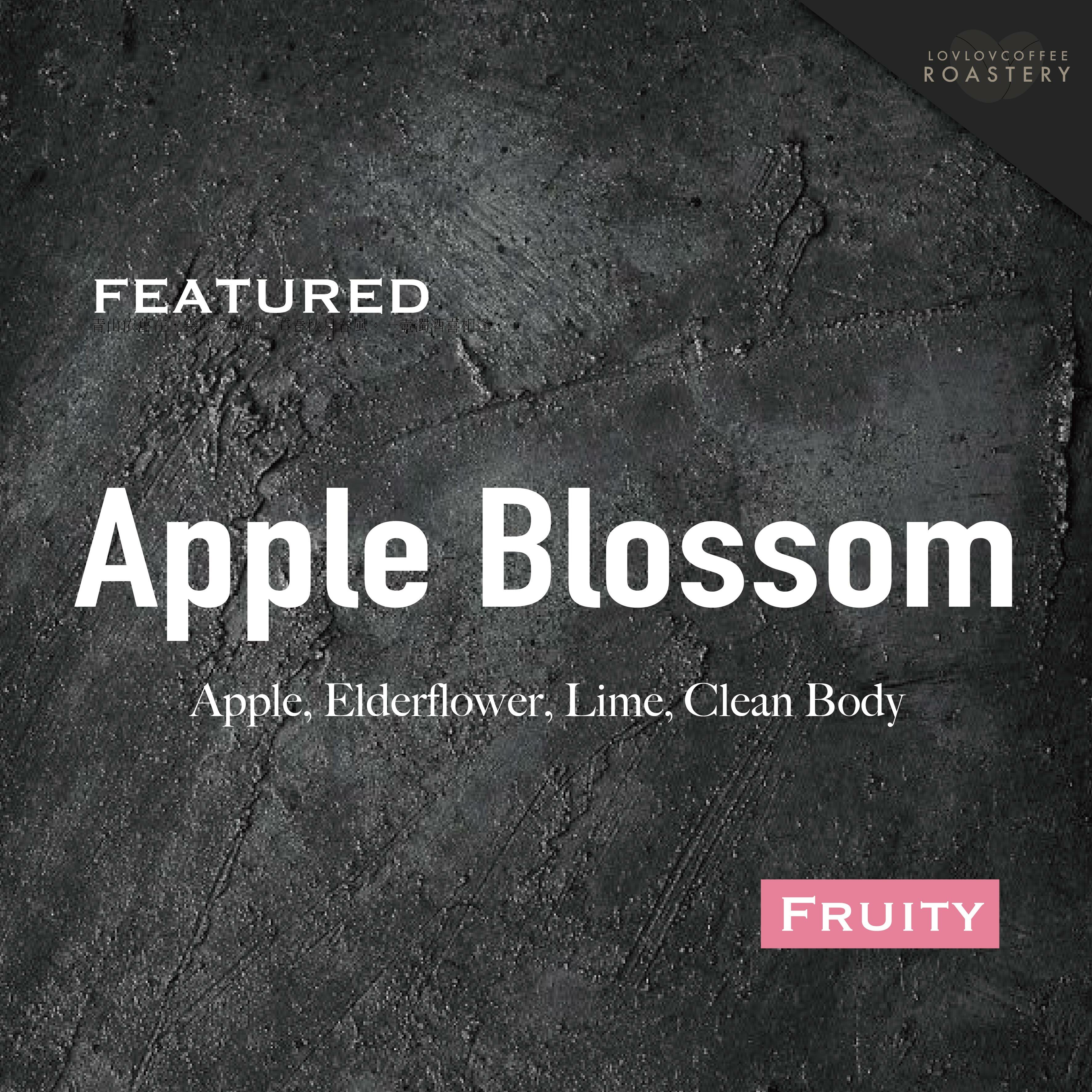 (冬季限定) Apple Blossom丨接骨木花丨咖啡豆丨掛耳包