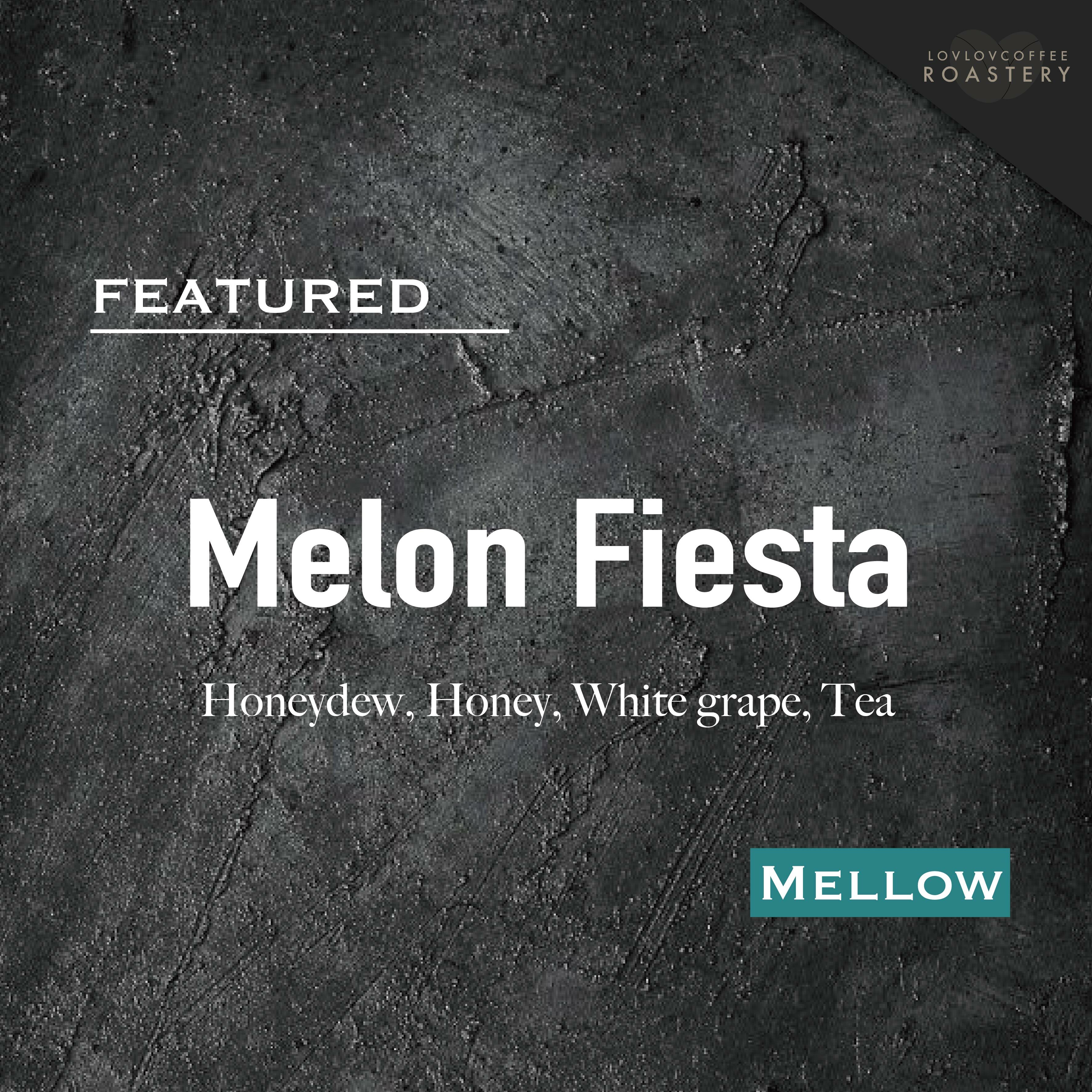 Melon Fiesta丨哈蜜瓜丨咖啡豆丨掛耳包