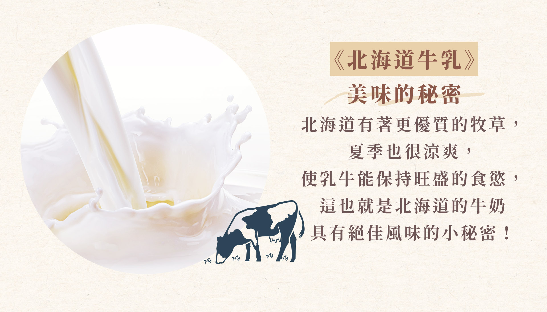 《北海道牛乳》美味的秘密 日本的乳牛品種以荷斯登牛（Holstein）為主流，黑白斑狀花紋是其特色。  荷斯登牛原產於氣候涼爽的荷蘭、德國等地，適合在氣溫 10 ～ 20℃ 上下的環境中生長，也就是說，北海道的氣候正好適合乳牛成長。