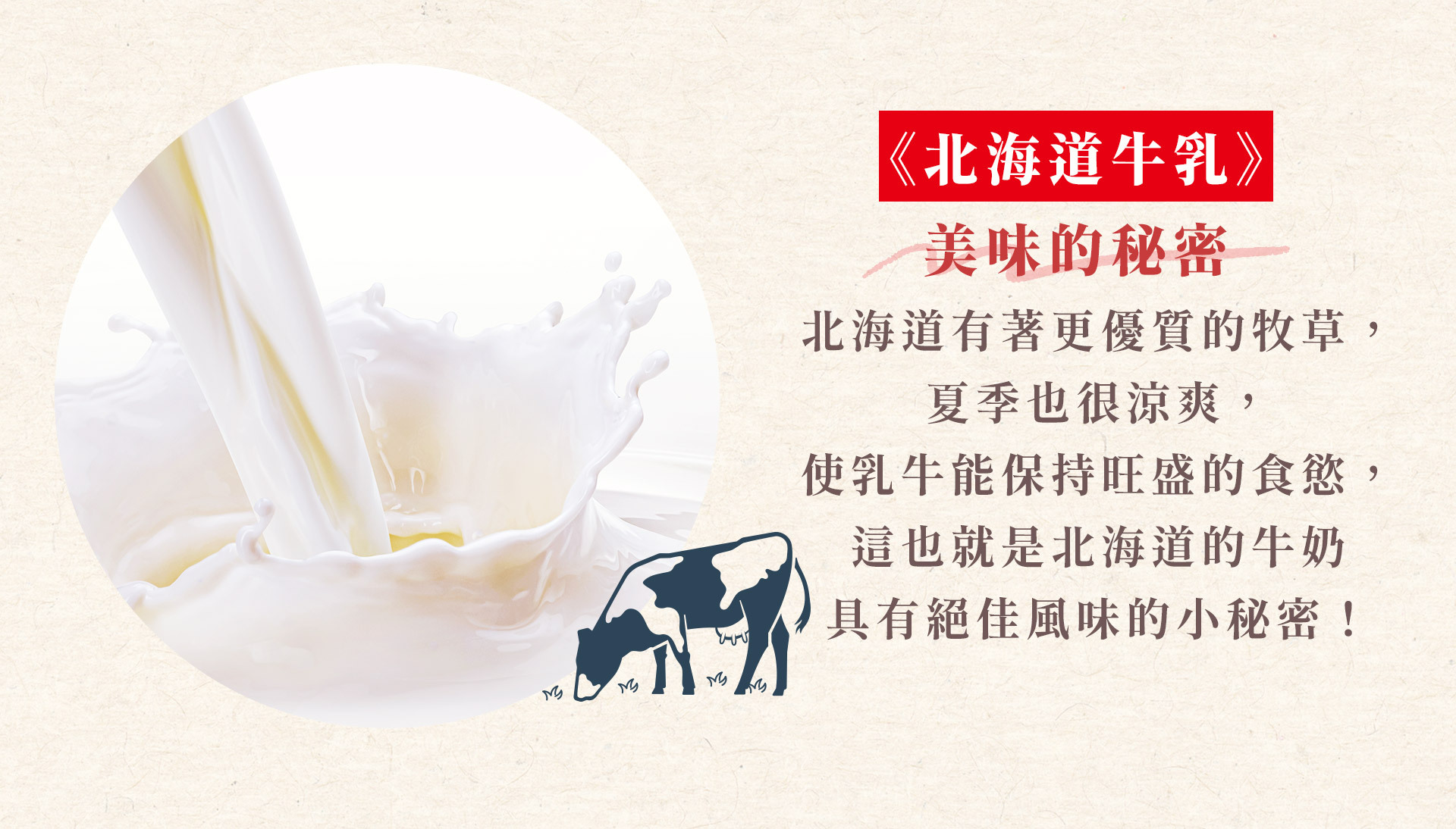 《北海道牛乳》美味的秘密 日本的乳牛品種以荷斯登牛（Holstein）為主流，黑白斑狀花紋是其特色。