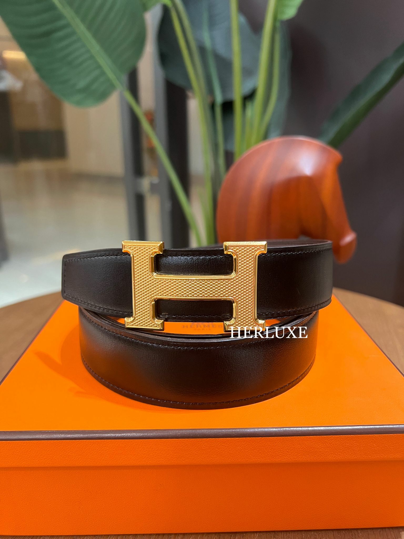 H guillochee plaque or belt 32mm CC 90cm noir/chocolate （Display）