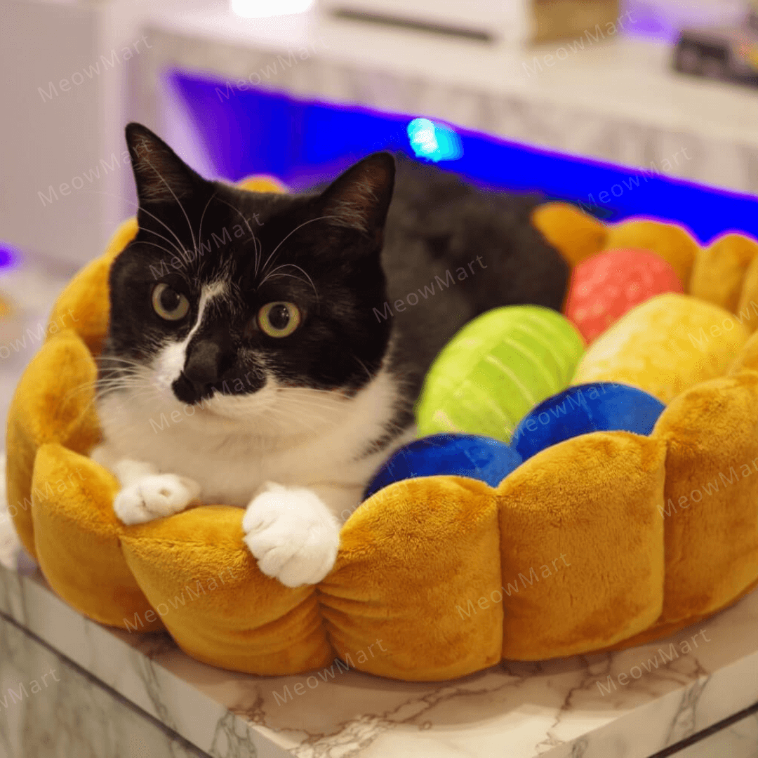 日本 Felissimo 水果撻寵物床