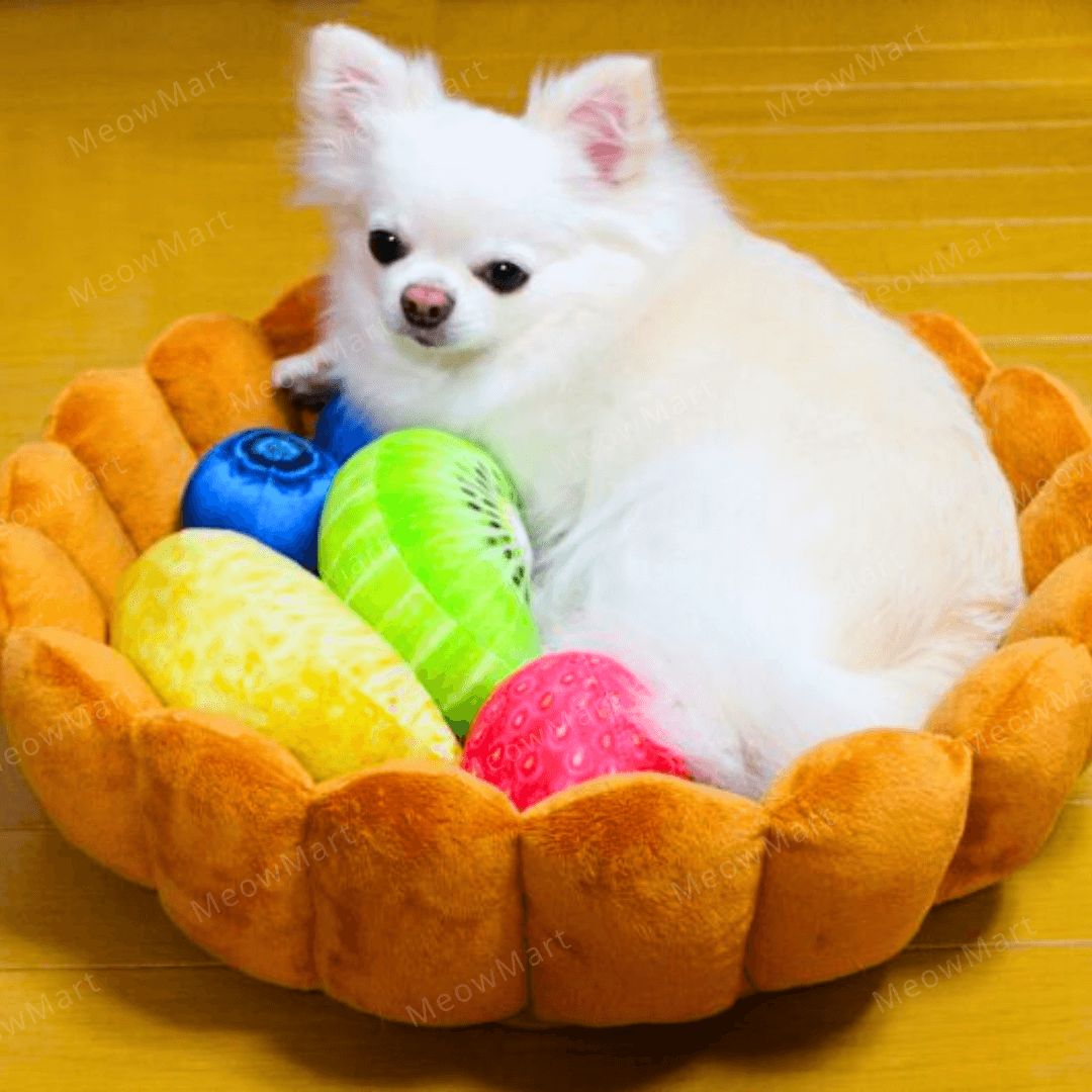 日本 Felissimo 水果撻寵物床